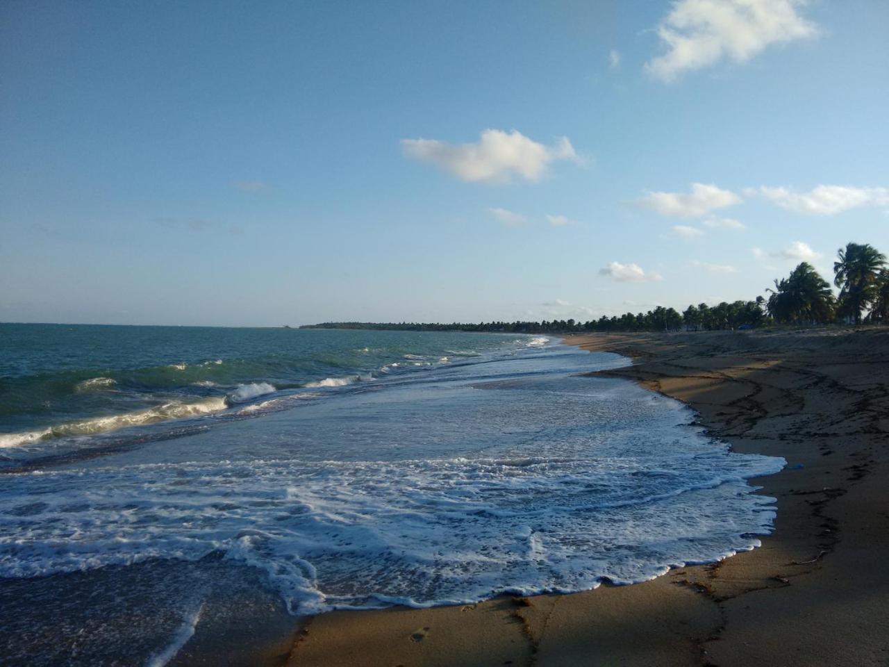 Chale Das Palmeiras Tamandaré Exterior foto